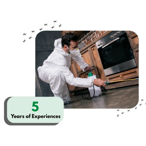 what-we-do-at-saynopest